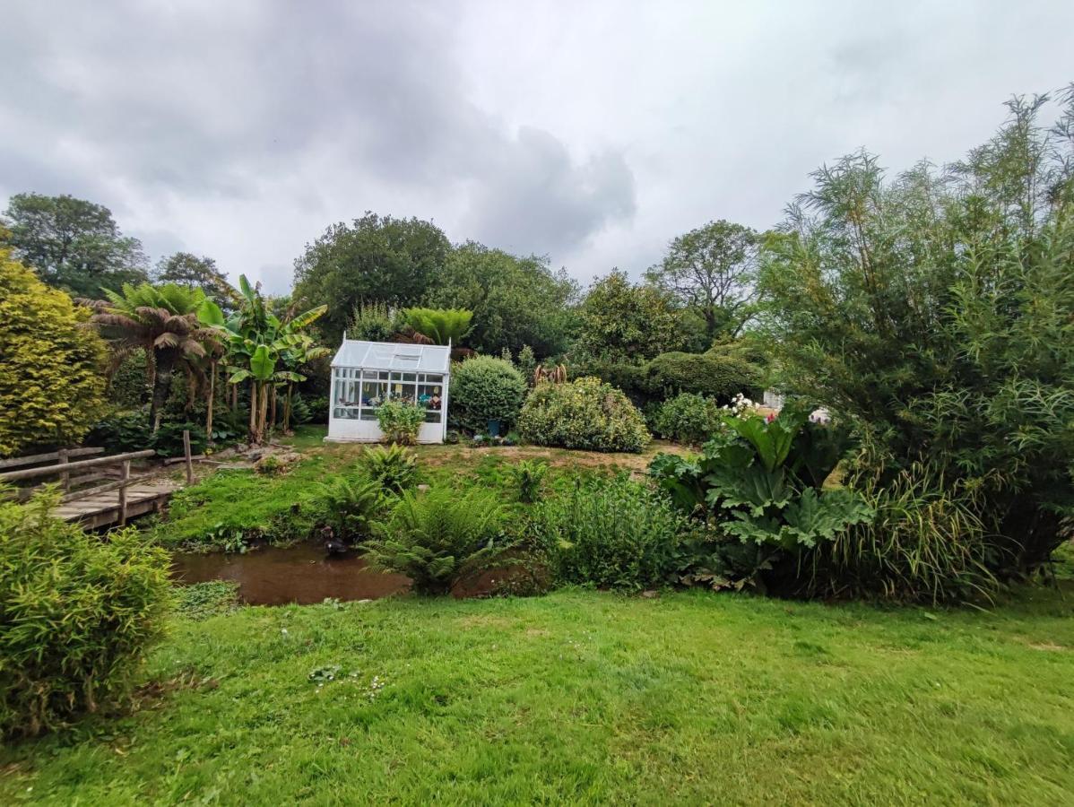 セント・オーステル Tree Fern Barnヴィラ エクステリア 写真